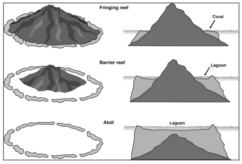 India’s first coral reef research centre