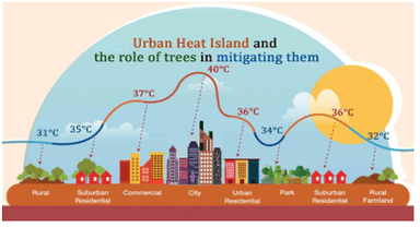 Urban Heat Island Effect