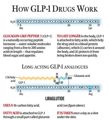 GLP–1 Drugs