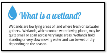 India’s Wetland Conservation Resolution Adopted