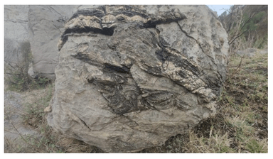 Stromatolite