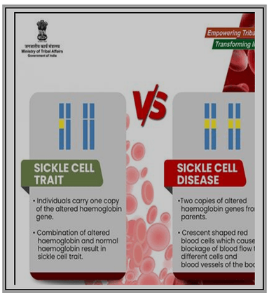 National Sickle Cell Anemia Elimination Mission