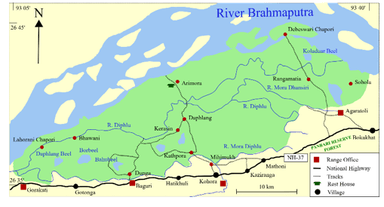 First Grassland Bird Survey in Kaziranga