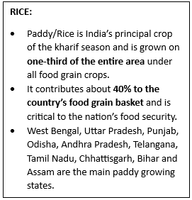 World’s first genome-edited rice varieties