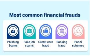 Financial Fraud Risk Indicator (FRI)