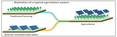Agri Photovoltaics: Dual Use Solar for Enhanced Farmer Livelihoods