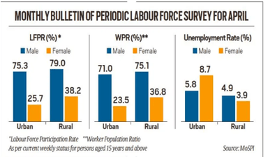 Periodic Labour Force Survey (PLFS) – Monthly Bulletin [April 2025]