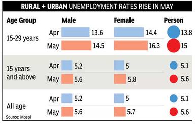 Periodic Labour Force Survey (PLFS) – Monthly Bulletin [May 2025]