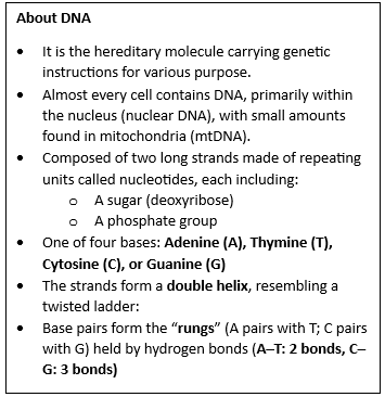 DNA Analysis