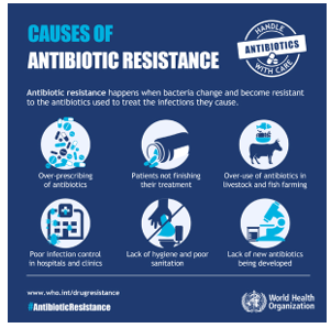 First Global Animal Health report by the World Organisation for Animal Health (WOAH)