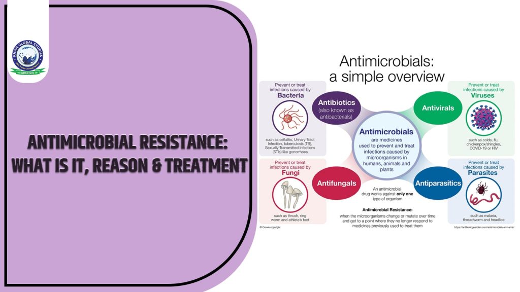 Antimicrobial Resistance: What Is It, Reason & Treatment