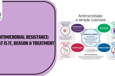 Antimicrobial Resistance: What Is It, Reason & Treatment
