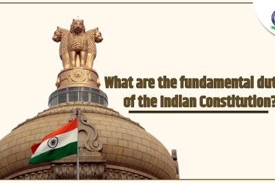 What are the Fundamental Duties of the Indian Constitution?