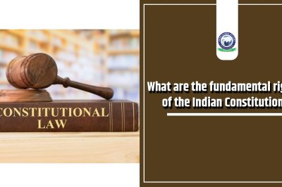 What are the Fundamental Rights of the Indian Constitution?