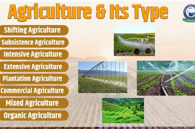 What is Agriculture and Its Types?