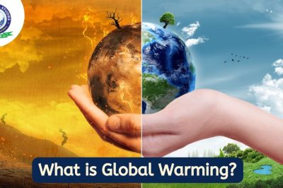 What are the Causes and Effects of Global Warming?