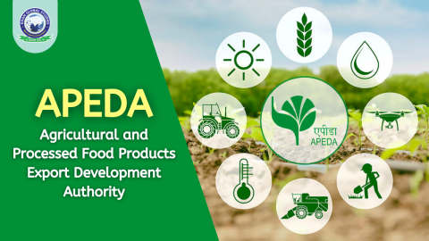 APEDA:  Registration Process, Woking, Subsidy and Benefits