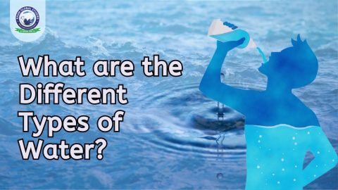 What are the different Types of Water?