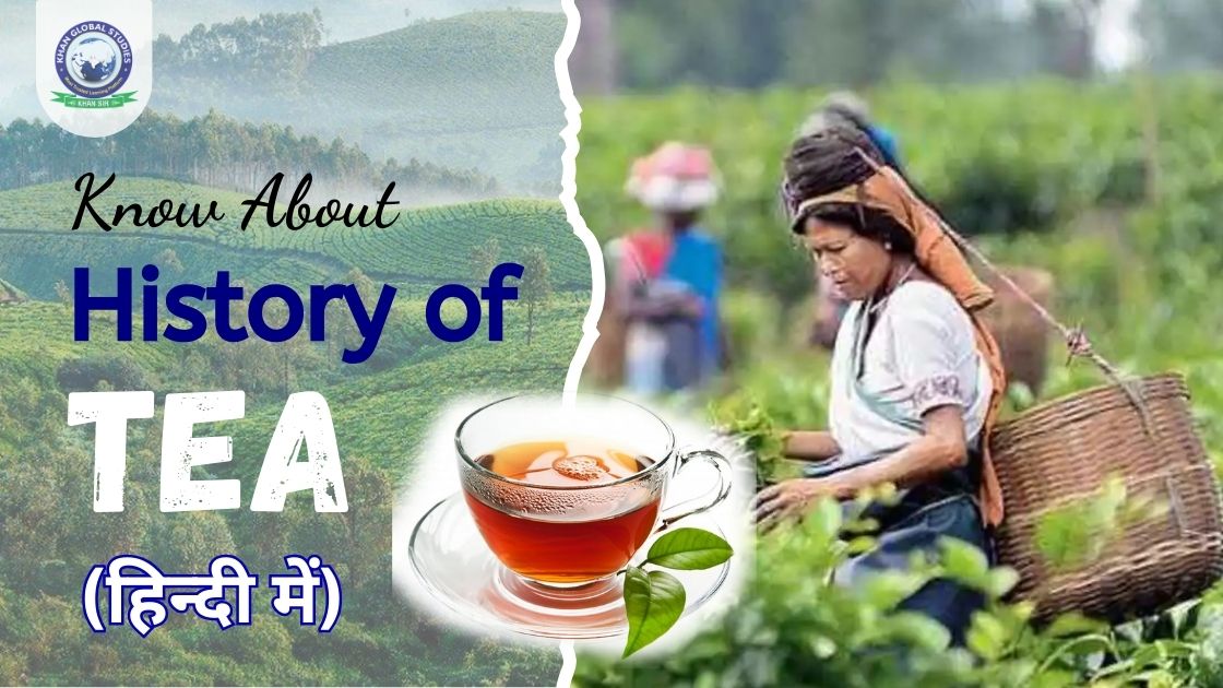 What is the History of Tea in India and how did it Start? | Khan Global