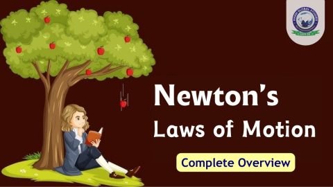 The Newton’s Laws of Motion: With Practical Examples