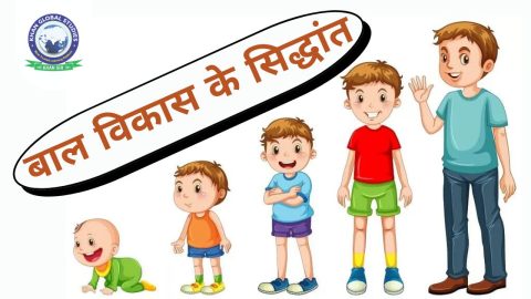 बाल विकास के सिद्धांत: इतिहास, महत्व और शीर्ष सिद्धांत