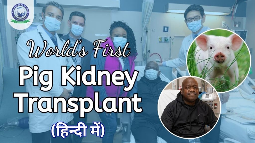 Pig Kidney Transplant के पहले मानव लाभार्थी की मृत्यु हो गई