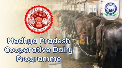 Madhya Pradesh Cooperative Dairy Programme (MPCDP)