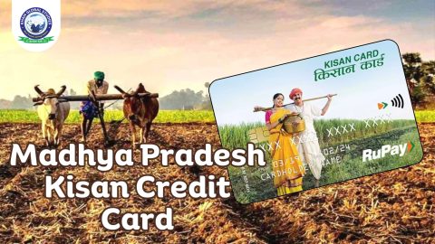 Madhya Pradesh Kisan Credit Card Scheme: Complete Overview