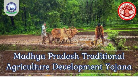Madhya Pradesh Traditional Agriculture Development Yojana