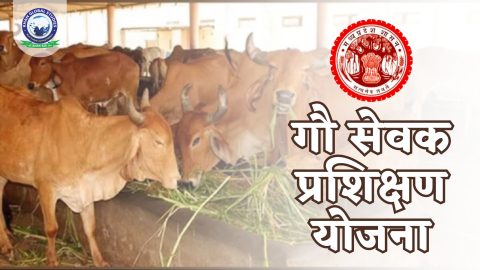 जानें मध्य प्रदेश गौ सेवक प्रशिक्षण योजना के बारे में