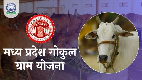 मध्य प्रदेश गोकुल ग्राम योजना (MPGGY): सम्पूर्ण जानकारी