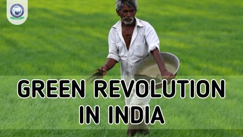 Green Revolution: Intro, Object, Effects and Challenges