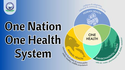 One Nation One Health System: Benefits and Challenges