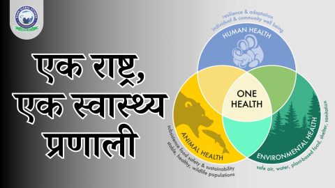 एक राष्ट्र एक स्वास्थ्य प्रणाली: लाभ और चुनौतियाँ