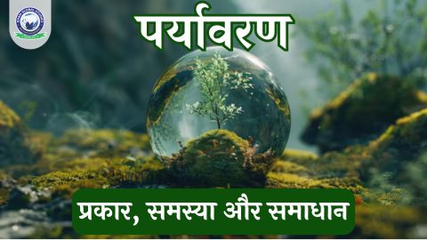 पर्यावरण और उसके प्रकार, समस्याओं और समाधानों के बारे में जानें