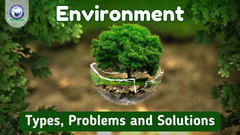 Explore Environment and its Types, Problems and Solutions