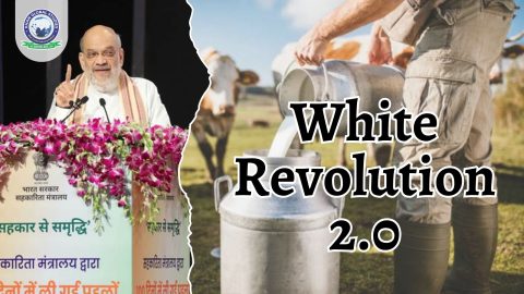 White Revolution 2.0: Benefits and Current Dairy Status