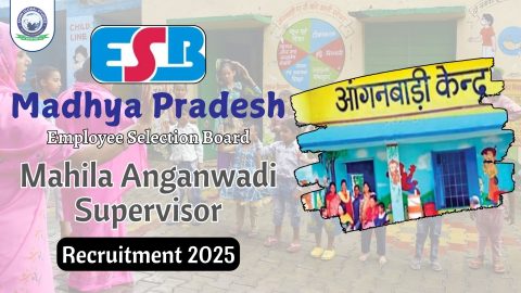 MP Anganwadi Supervisor Recruitment 2025: Notification Out