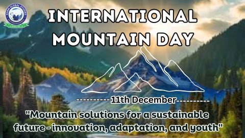 International Mountain Day 2024: History, Types and Facts