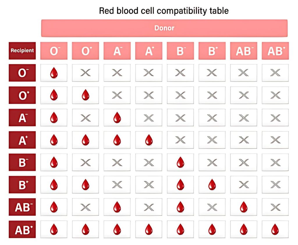 Blood Donor Compatibility Table